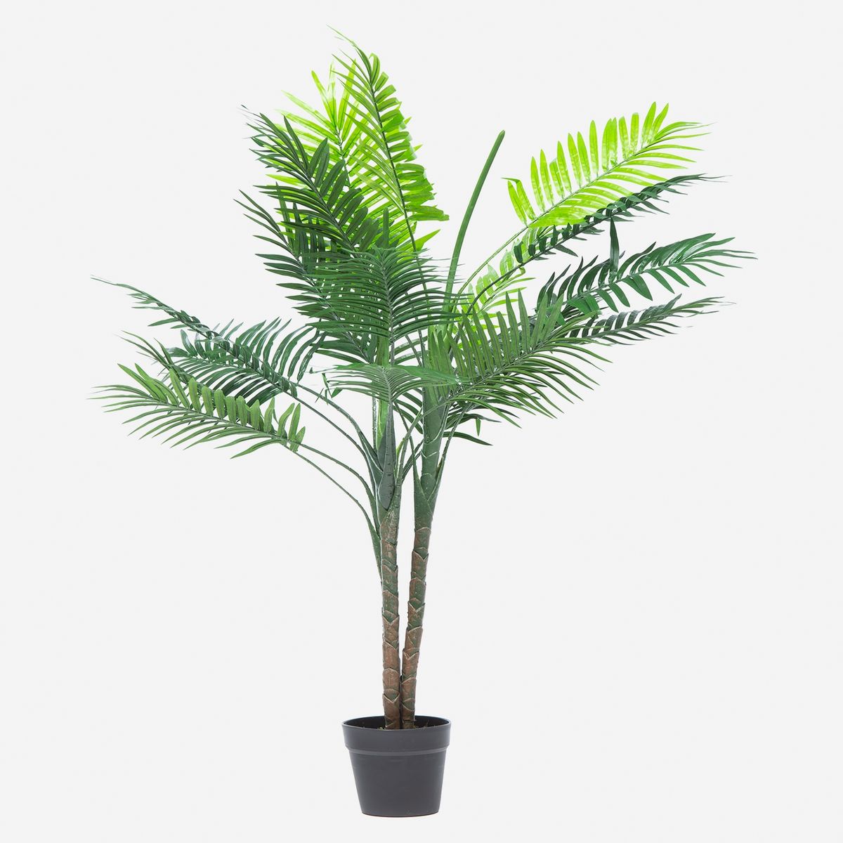 MICA - Mini Palmera 120Cm Mica