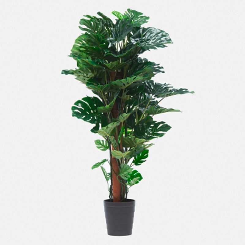 MICA - Planta Monstera 150 Cm Mica