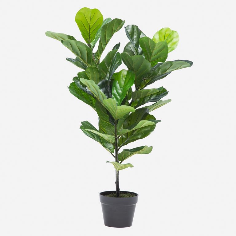 Planta Artificial Ficus Lyrata 90 Cm