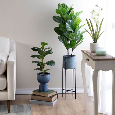 Imagen 2 del producto Planta Artificial Ficus Lyrata 90 Cm