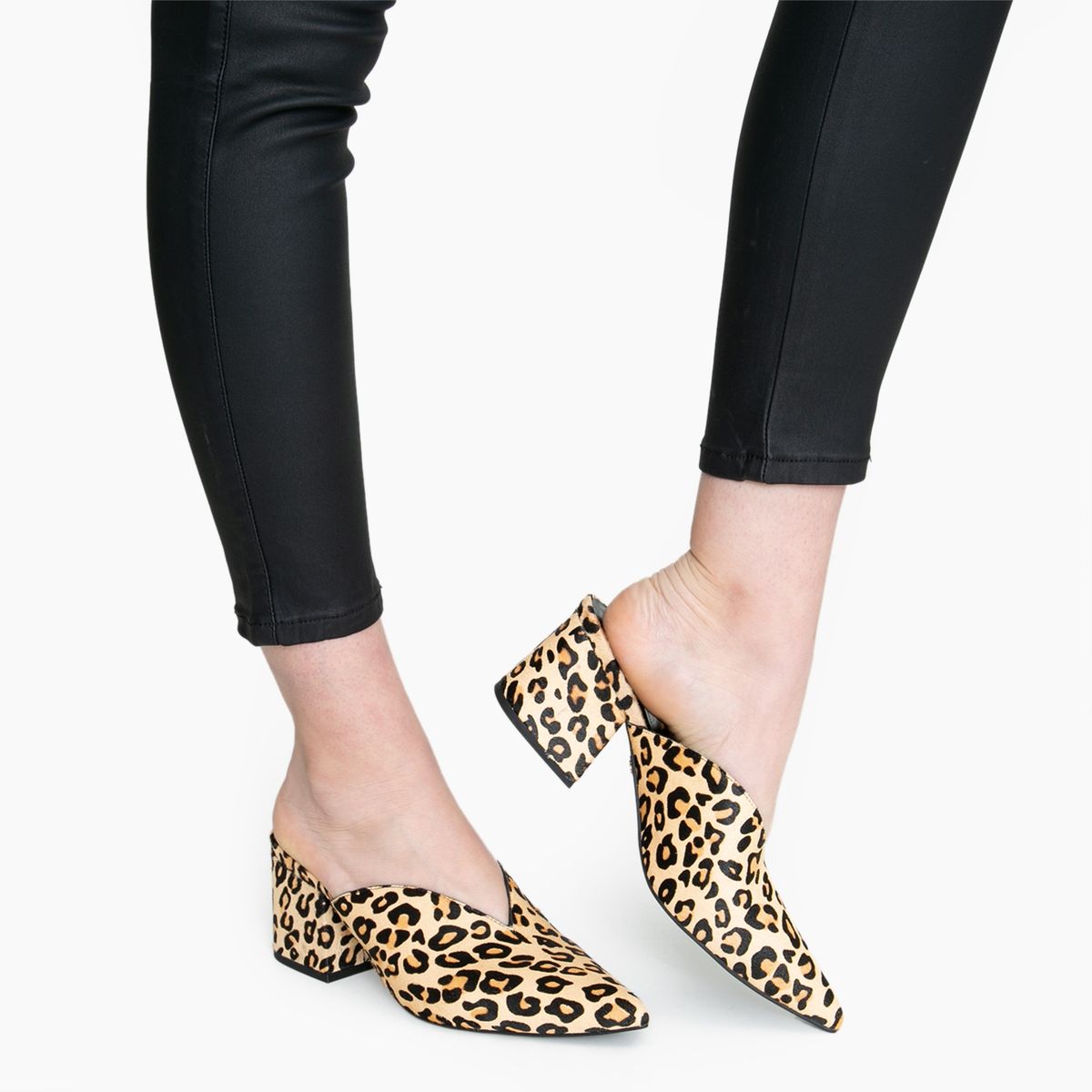 ROBERTO CAVALLI - Zapato Mujer Cuero Marron