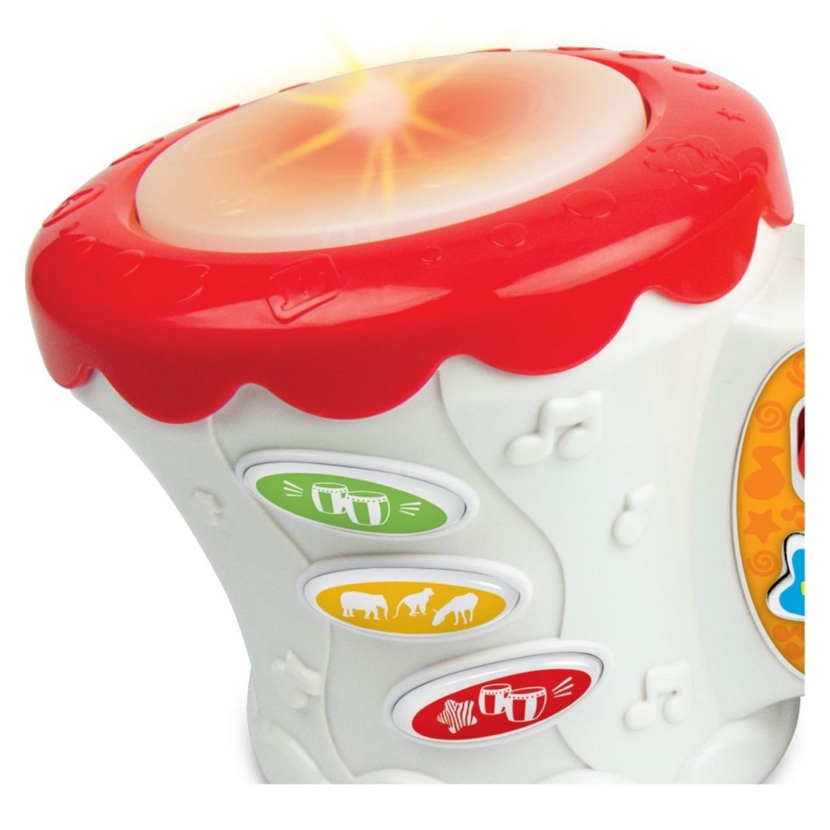 WINFUN - Bongo Pre-Escolar Winfun