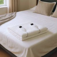 Calientacamas 2 Plazas 5 Niveles con Timer