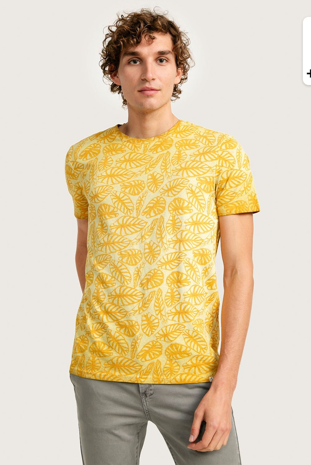 AMERICANINO - Polera Hombre