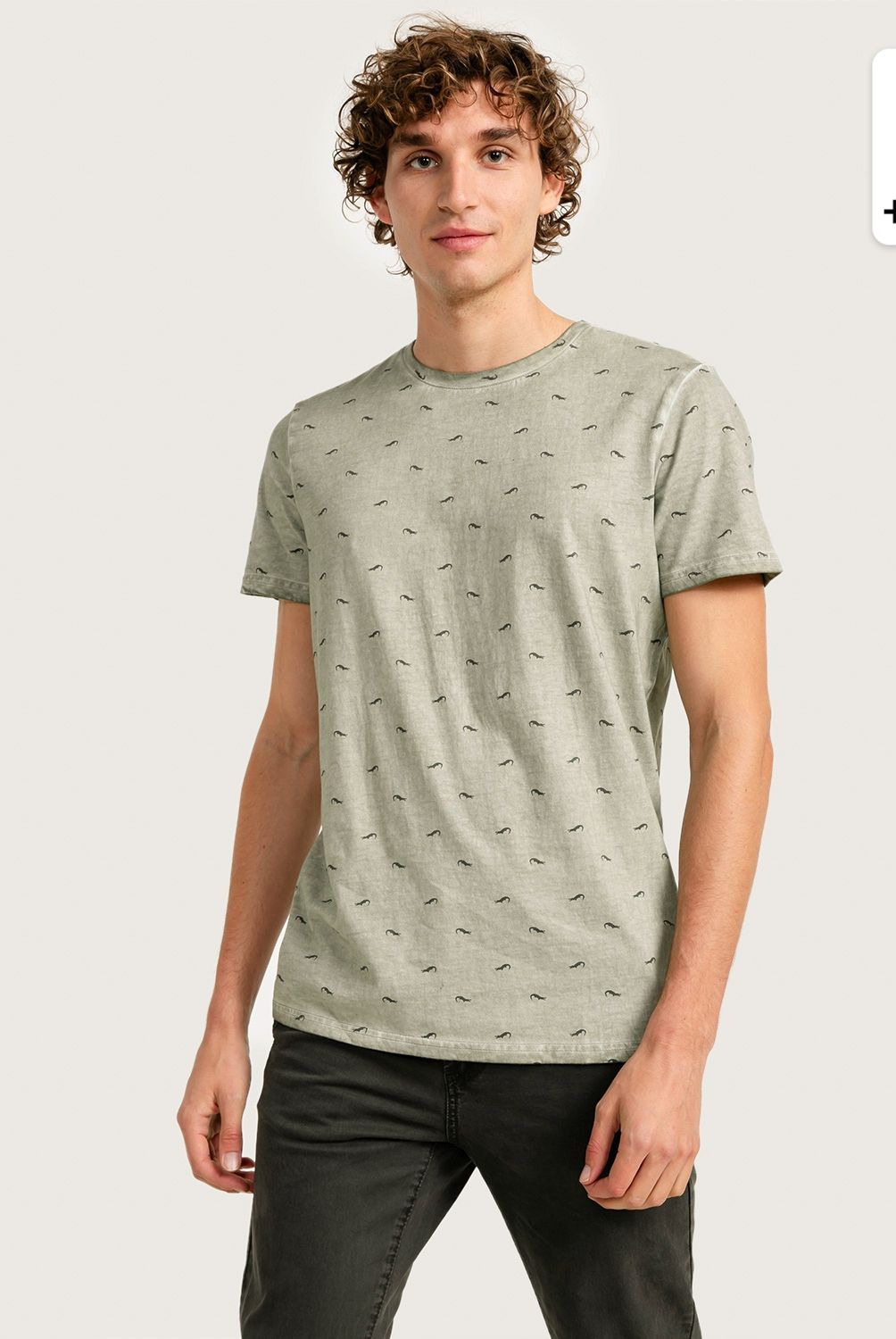 AMERICANINO - Polera Hombre