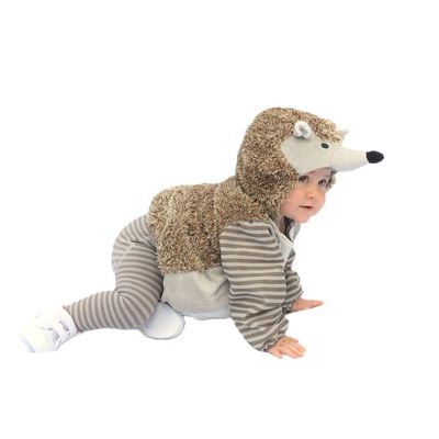 Imagen 2 del producto Disfraz Puercoespín