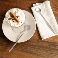 Set de 6 Cucharas para Helado Acero Inoxidable