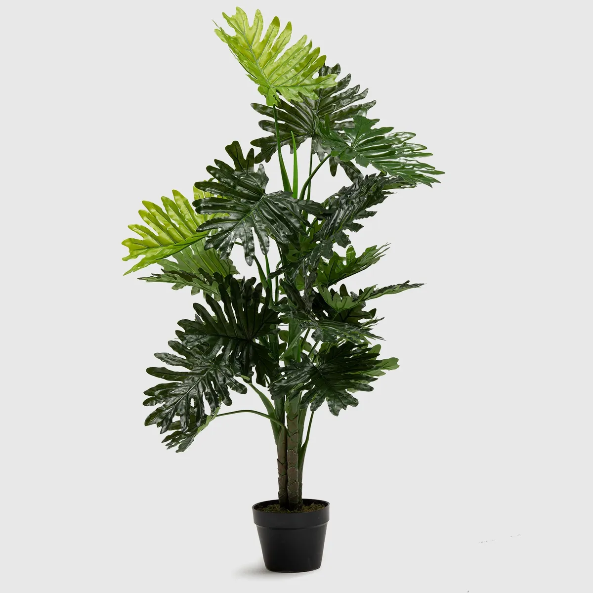 MICA - Plantas Plan Grand 120 Cm Mica