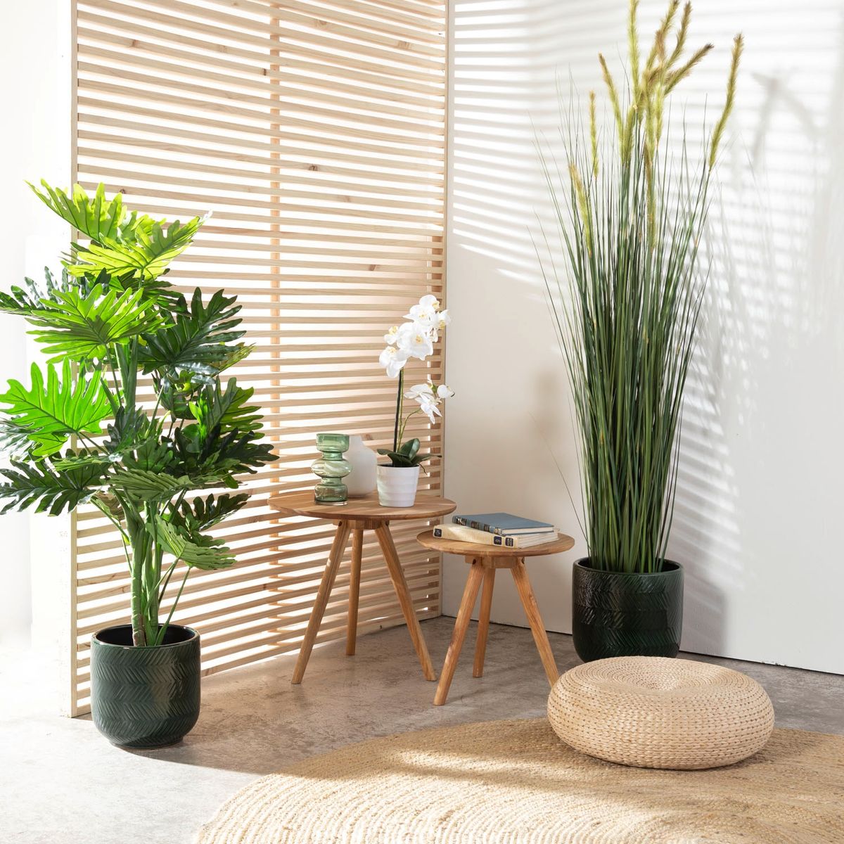 MICA - Plantas Plan Grand 120 Cm Mica