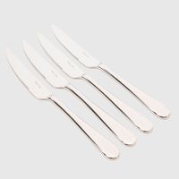 Set 4 Cuchillos Carne Kingham