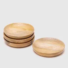 CASA CANTABRIA - Coasters Acacia Washed