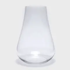 MICA - Florero de Vidrio Diseño Ovalado Transparente