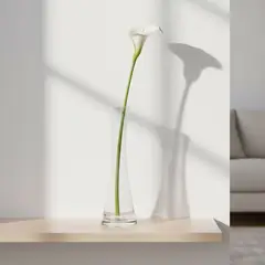 MICA - Florero Cilindro de Vidrio Transparente 20 cm