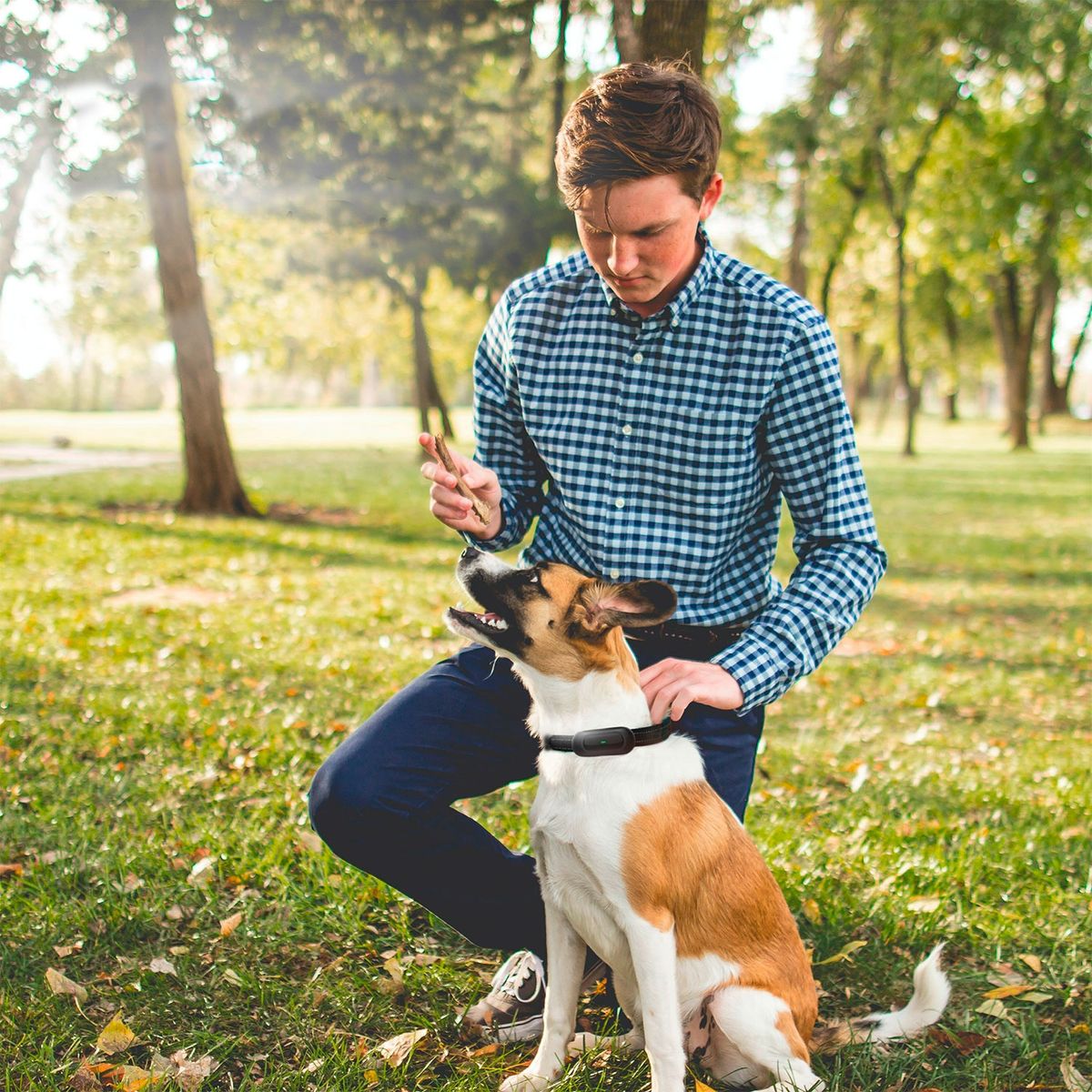 GENERICO - Collar de Adiestramiento para Perros 12 cm