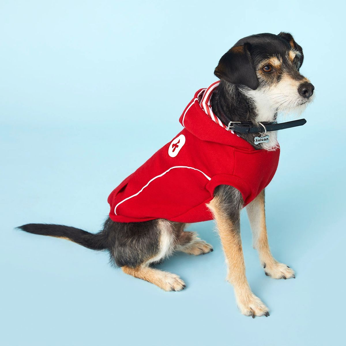 KULCAN - Poleron Perro Pequeño Con Gorro Talla M 35 Cm Kulcan