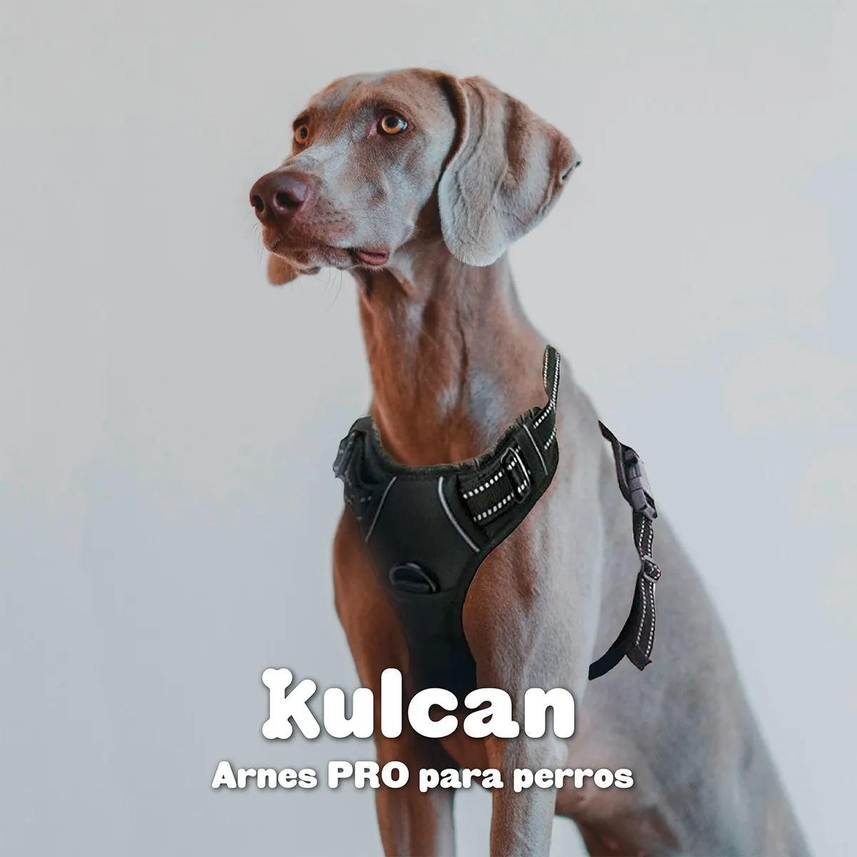 KULCAN - Arnés Para Perros Pequeños Talla S 33-43 Cm Kulcan