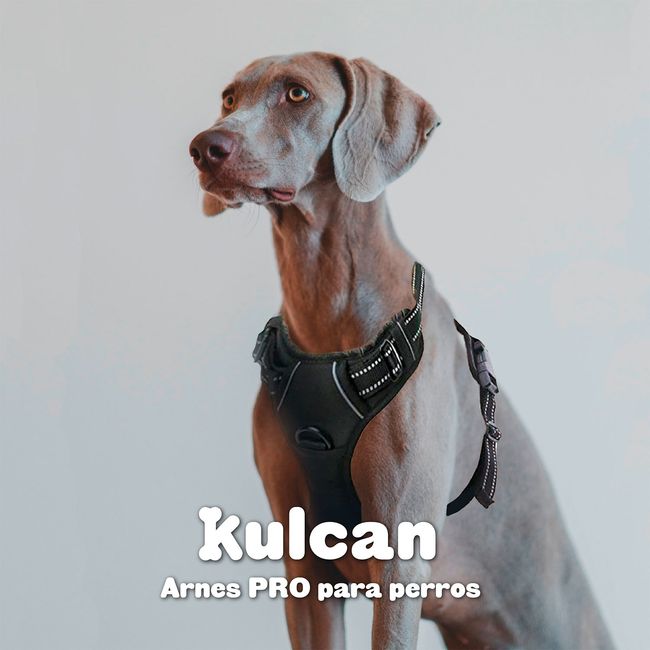 KULCAN - Arnés Para Perros Pequeños Talla S 33-43 Cm Kulcan