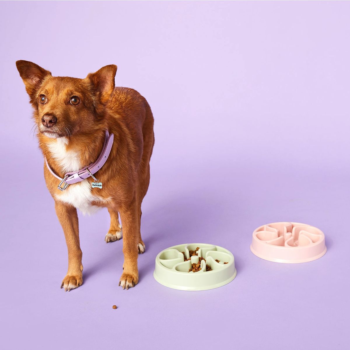 KULCAN - Plato Para Perros Comida Lenta 20 Cm Kulcan