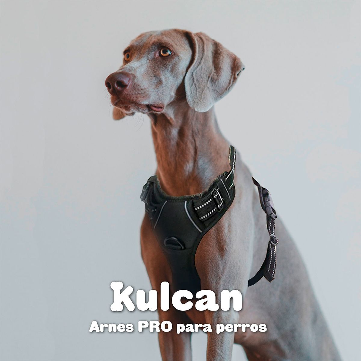 KULCAN - Arnés para Perros Medianos Talla L 56-69 cm Kulcan