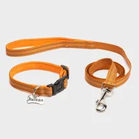 Collar Para Perro Con Correa Mascotas