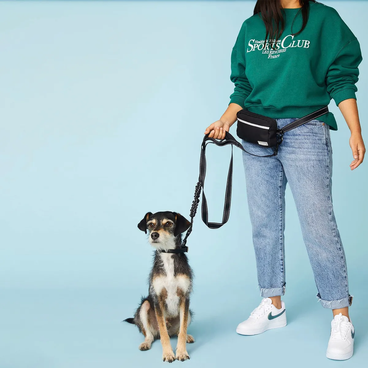 KULCAN - Correa Con Cinturón Y Estuche Para Perros Kulcan