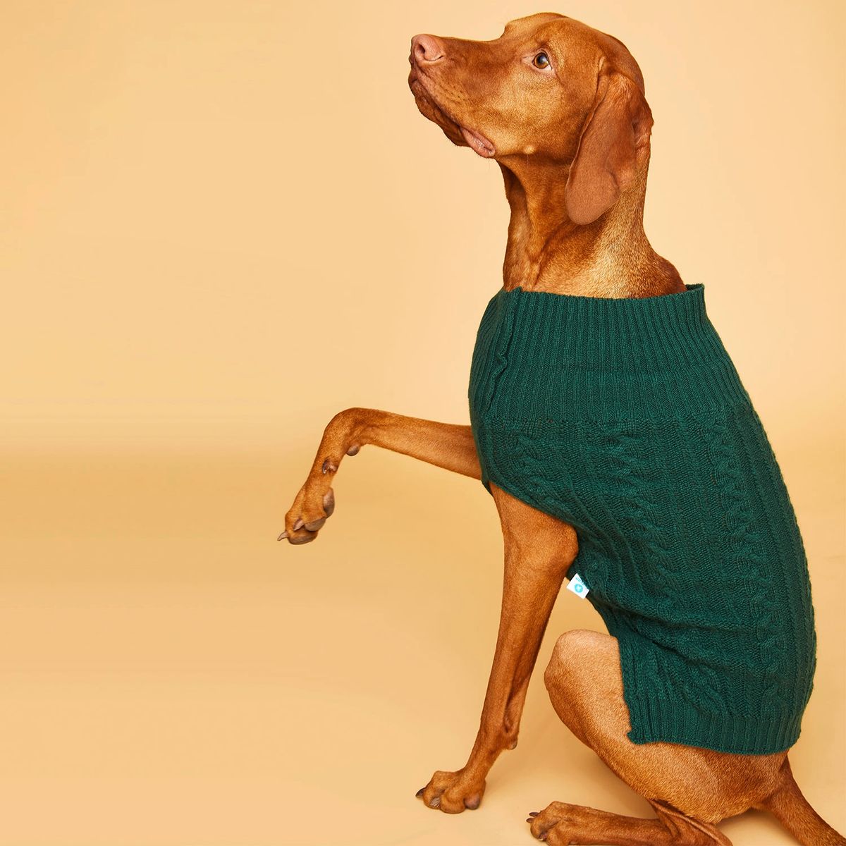 KULCAN - Sweater Perro Mediano Trenzado Talla L 40 cm Kulcan