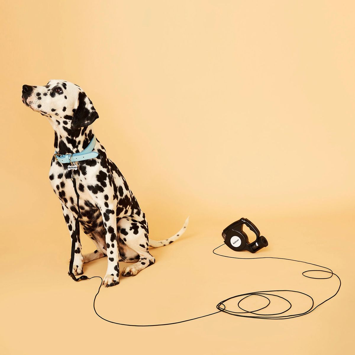 KULCAN - Correa Para Perro Retráctil Con Linterna 5 Metros Kulcan