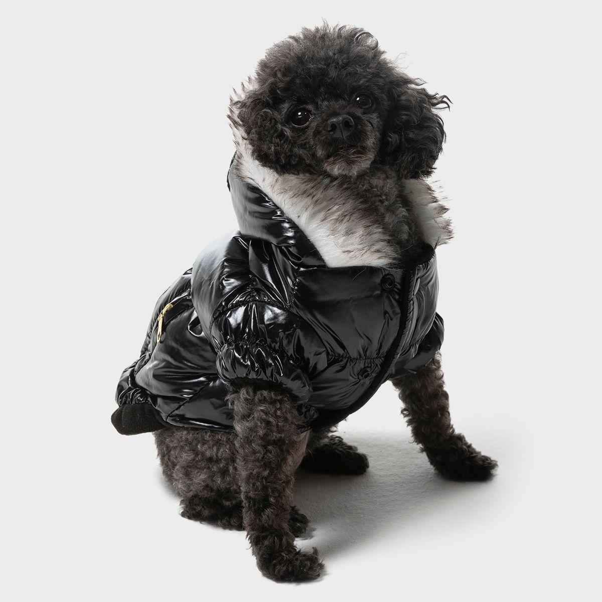 KULCAN - Parka Perro Pequeño Con Gorro Talla S 25 Cm Kulcan