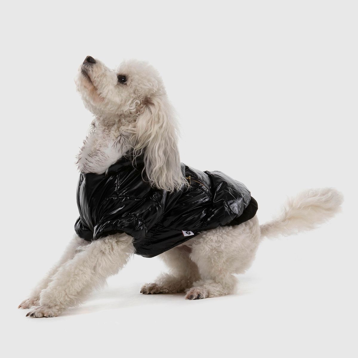 KULCAN - Parka Perro Pequeño Con Gorro Talla M 35 Cm Kulcan