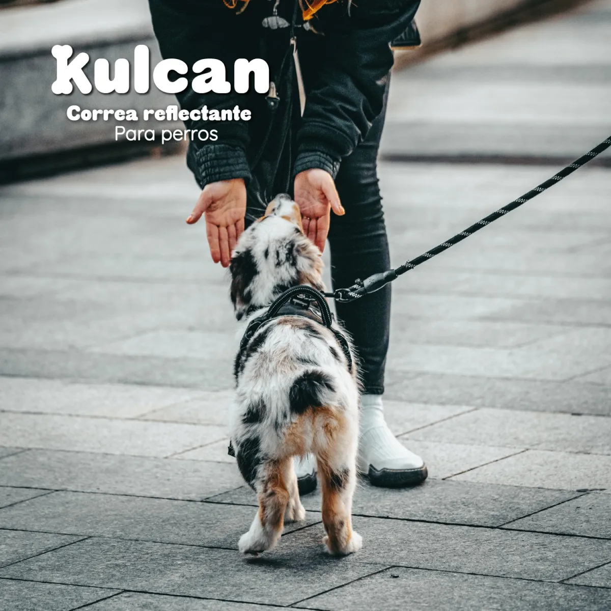 KULCAN - Correa Para Perros Gruesa Kulcan