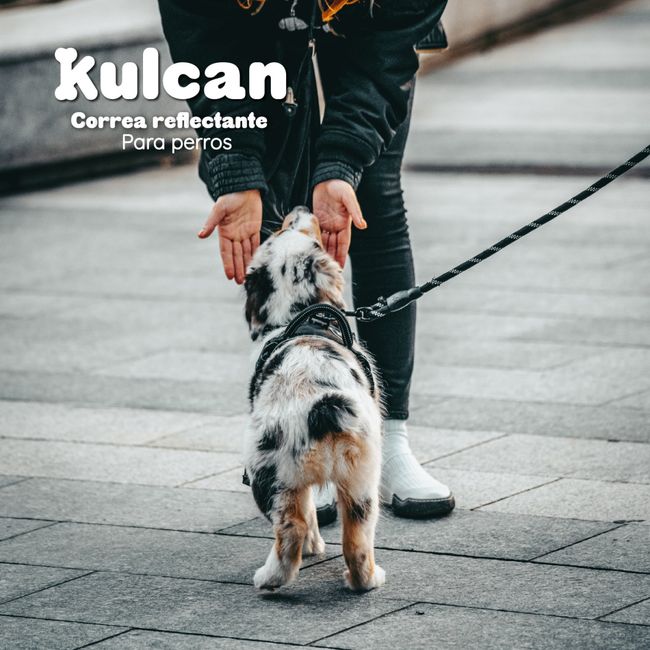 KULCAN - Correa Para Perros Gruesa Kulcan