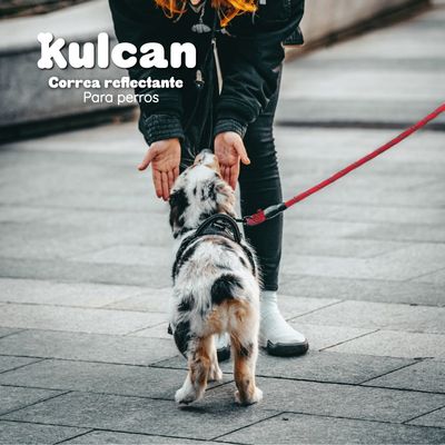 Imagen 2 del producto Correa Para Perros Gruesa