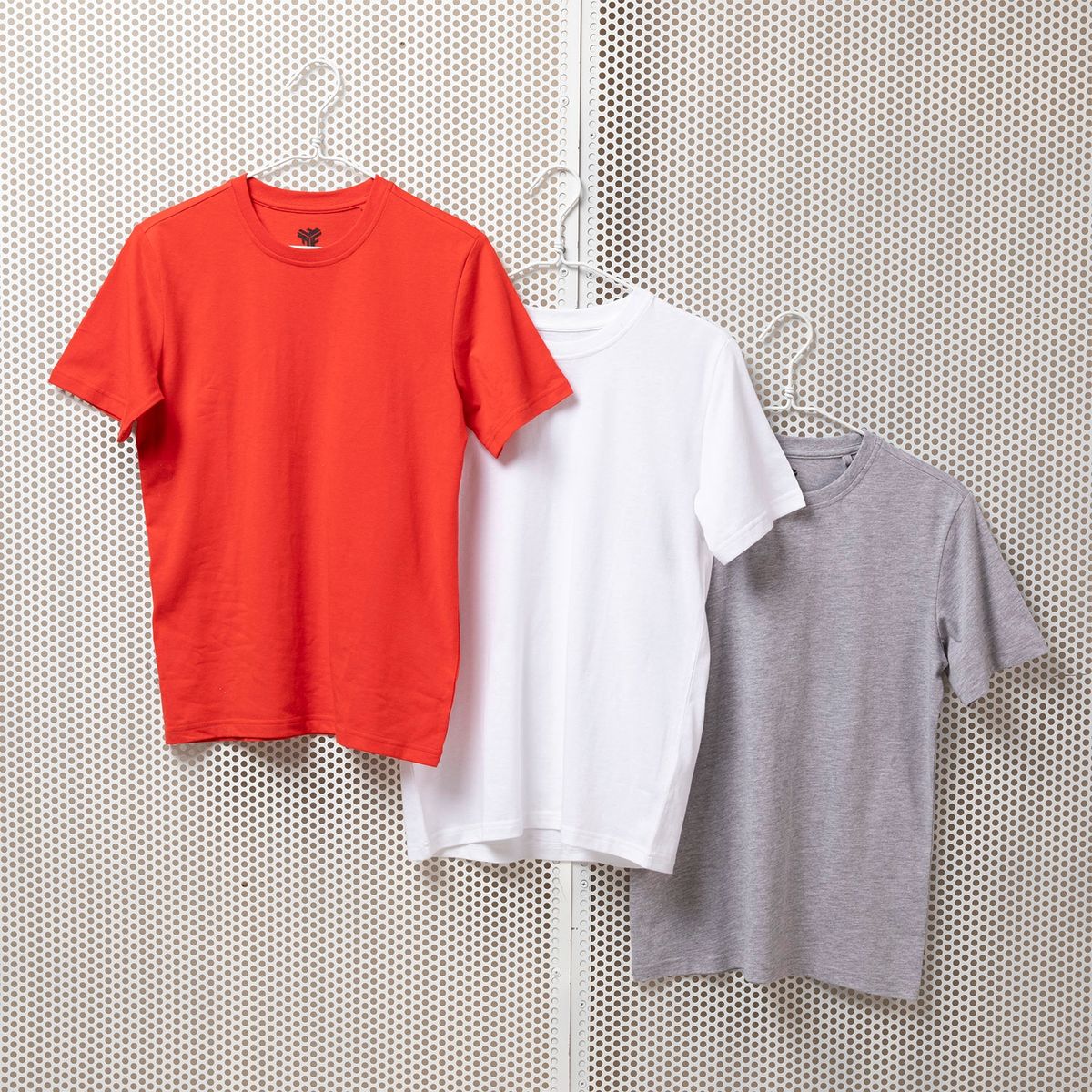 FEDERATION - Pack 3 Poleras Niño Algodón Federation