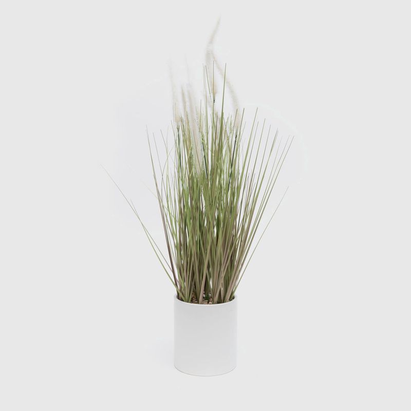 MICA - Planta Cola De Zorro 80 Cm Mica
