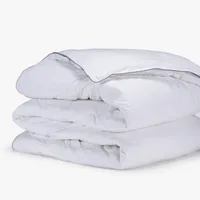 Plumón Pluma All Season