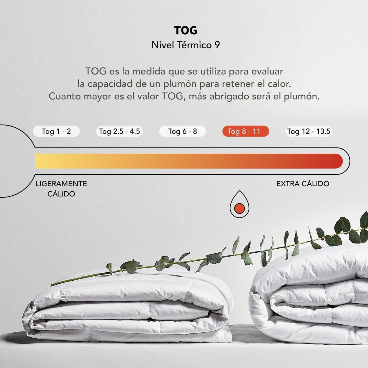 BASEMENT HOME - Plumón Algodón Hipoalergénico Antiácaros 350 Gsm Basement Home