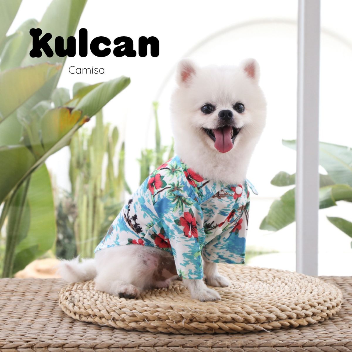 KULCAN - Guayabera Para Perro Pequeña Celeste Hawaii Kulcan