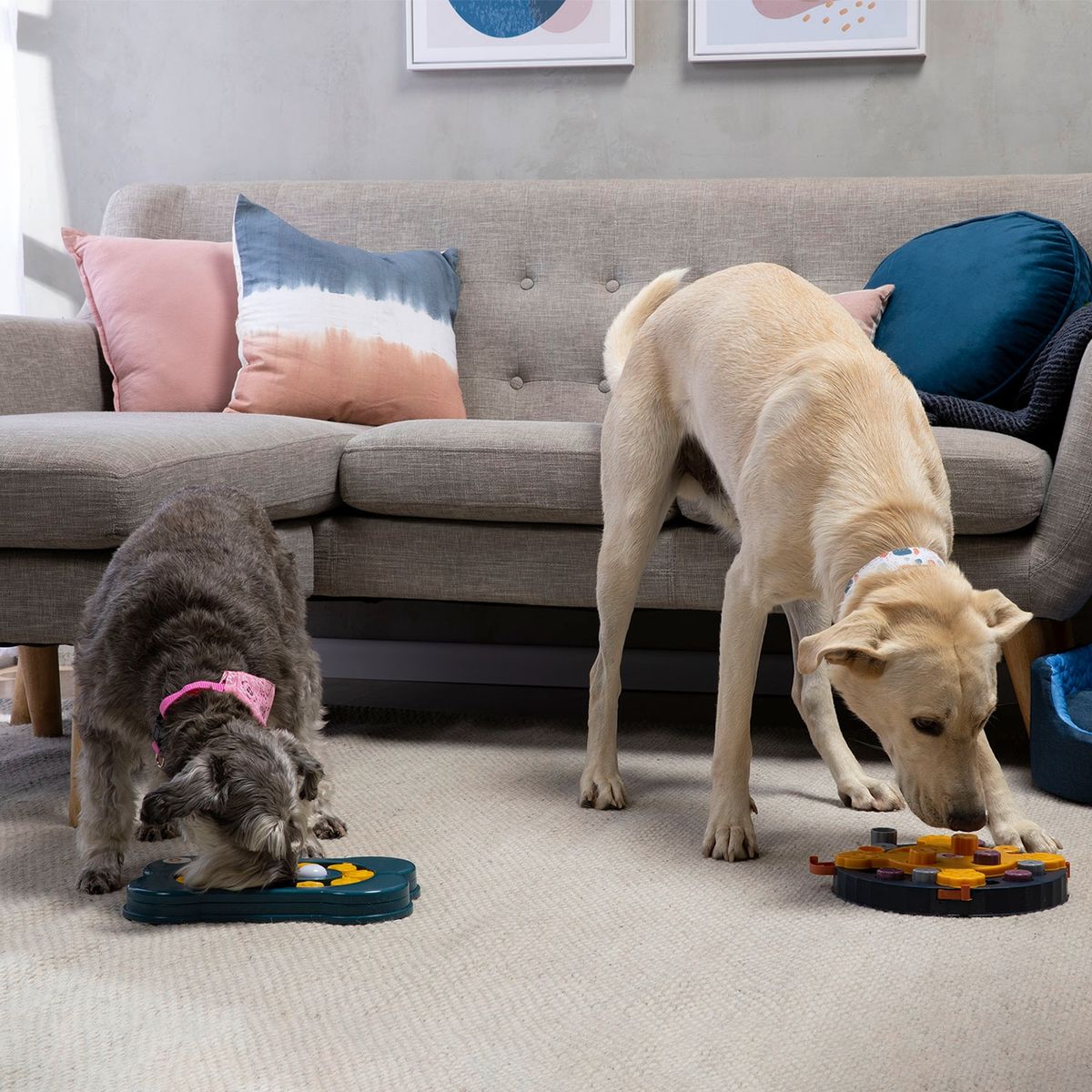 KULCAN - Plato Interactivo Para Perros 30X20 Cm Kulcan