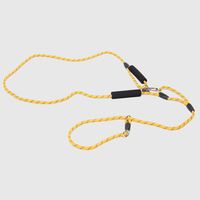 Correa Para Perros Extra Larga 2,2 Metros Austables