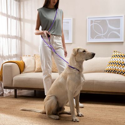 Imagen 2 del producto Correa Para Perros Extra Larga 2,2 Metros Austables