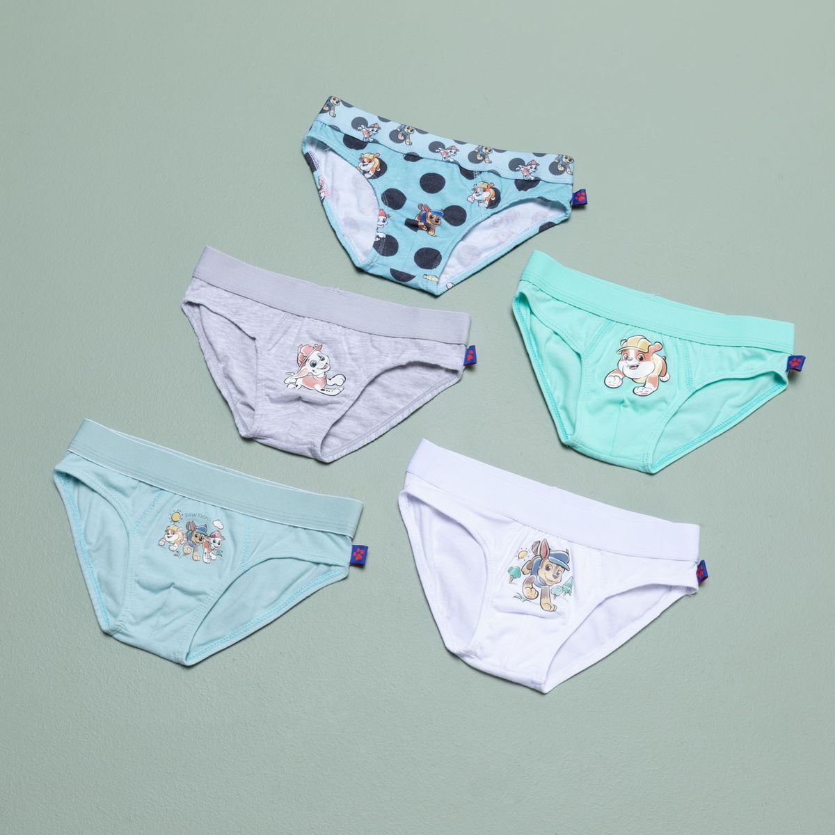 PAW PATROL - Boxer Pack de 5 Unidades Algodón Niño Paw Patrol