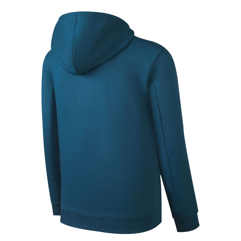 PSG - Hoodie Manga Larga Regular Fit Hombre Psg