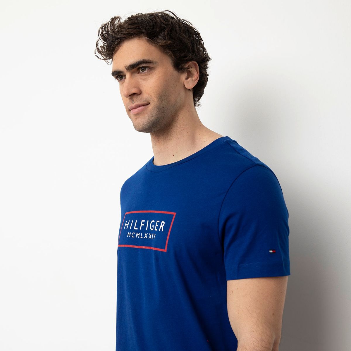 TOMMY HILFIGER - Polera Manga Corta Hombre Tommy Hilfiger