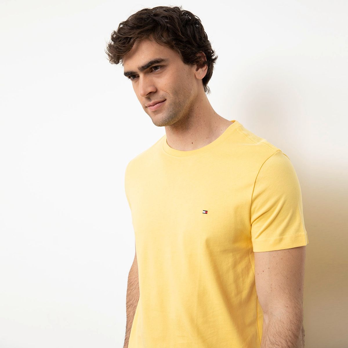 TOMMY HILFIGER - Polera Cuello Redondo Hombre Tommy Hilfiger