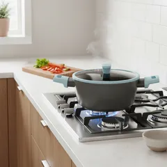 Olla Antiadherente Color New 20 Cm Gris Wurden