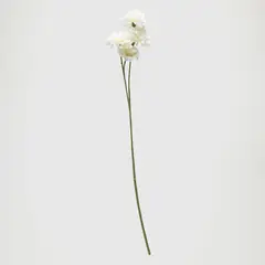 MICA - Varas Y Flores Clavel