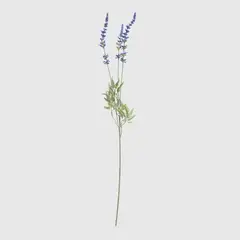 MICA - Varas Y Flores Varas Lavanda