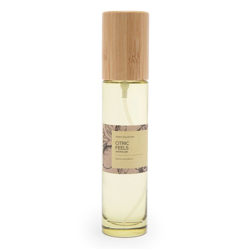 ROBERTA ALLEN - Ambientador Textil Roberta Allen Aromas T 100 ml Multicolor