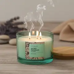 ROBERTA ALLEN - Vela Aromática Jazmín 280 Gramos