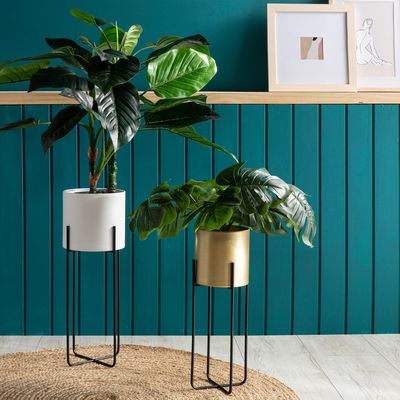 Imagen 2 del producto Maceta Pedesta Basic